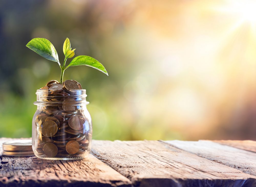 Plant Growing In Savings Coins - Investment And Interest Concept