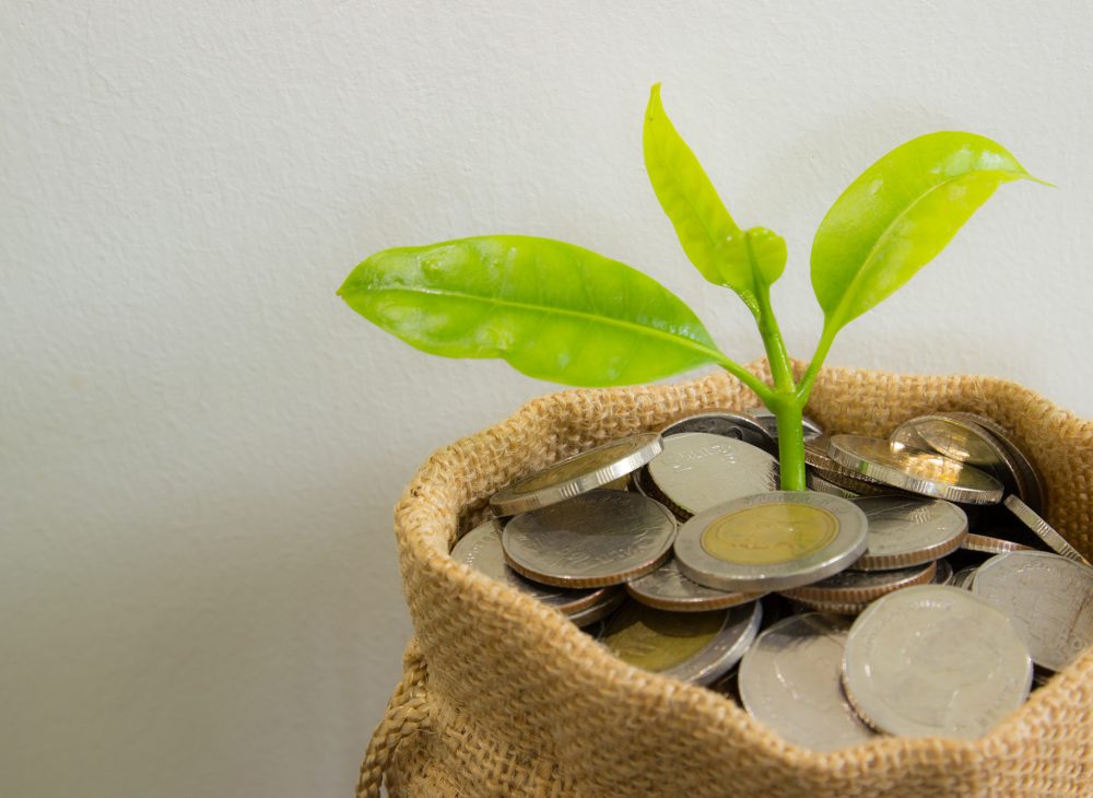 Coins in sack and plant glowing in savings coins, Show Stock asset investment, Retirement plan, Pension fund, 401K, Passive income, Wage, Millionaire, Financial freedom and wealth money concept.